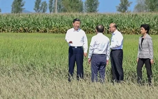 水务发展建设集团召开学习贯彻习近平总书记在新时代推动东北全面振兴座谈会和视察我省时的重要讲话重要指示精神暨主题教育总结会议